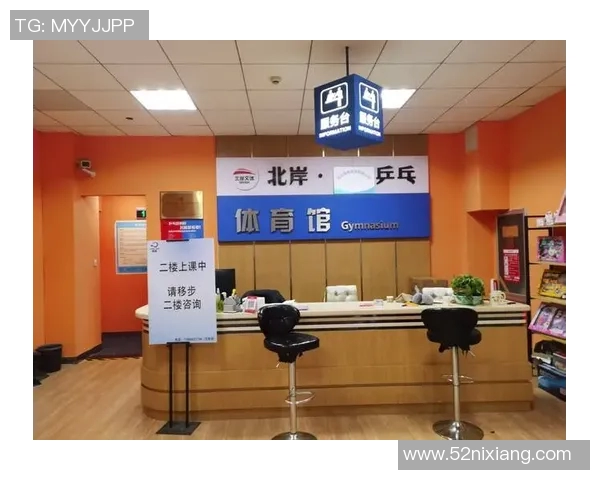 从零基础到高手之路乒乓球全面提升技巧与训练攻略 从零基础到高手之路乒乓球全面提升技巧与训练攻略