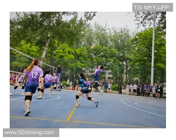 北京排球队创造历史新高排球速度排名引发热议