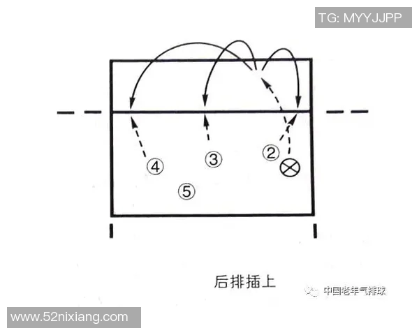 成都排球队节奏打法深度分析与战术解读 成都排球队节奏打法深度分析与战术解读